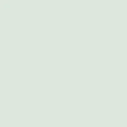 Morning Dew Morning Dew