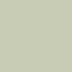Sage Green Sage Green