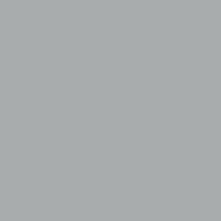 Silver Grey Silver Grey
