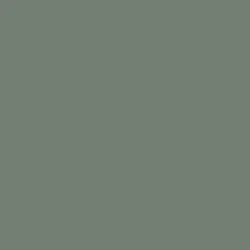 Reed Green (Plain Colour) Reed Green (Plain Colour)