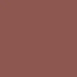Rusty Red (Plain Colour) Rusty Red (Plain Colour)