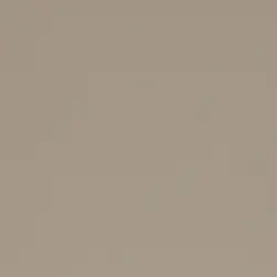 Stone Grey (Plain Colour) Stone Grey (Plain Colour)