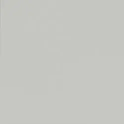 Light Grey Light Grey